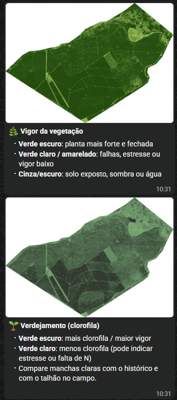 Exemplo real de imagens de satélite de vigor da vegetação e clorofila